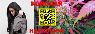 бошки Бийск