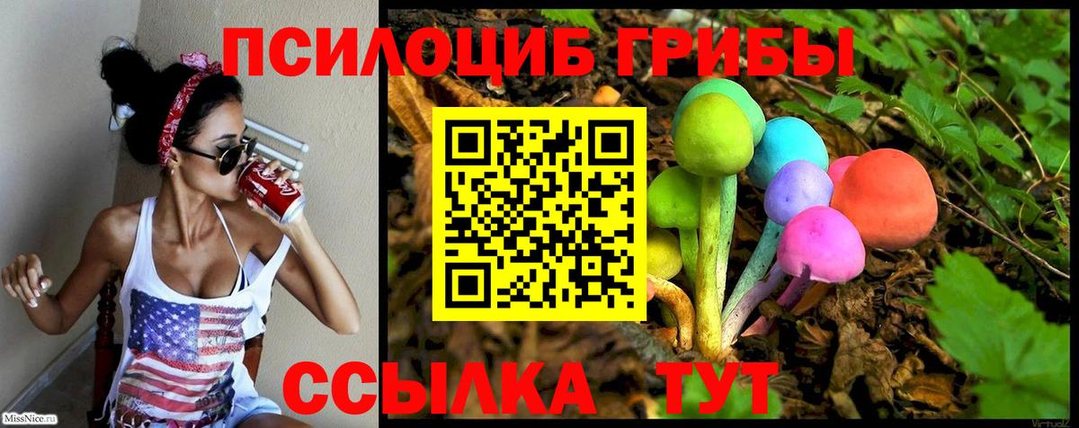 Псилоцибиновые грибы Psilocybe  купить закладку  Изобильный  Вход с VPN 